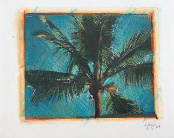 Palm Tree Polaroid Transfer