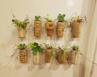 Succulent wine cork refrigerator magnet/ succulent planter/ indoor plant/ boho decoration/ wine lover magnet/rustic fridge magnet
