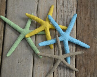 Painted Starfish, "Surf's Up" | 4 Pieces