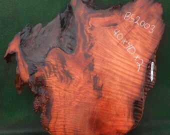 redwood burl slab with live edge - bs2003