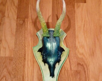 Hand painted deer skull