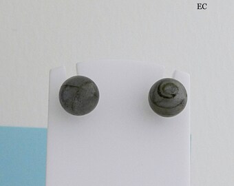 Labradorite and Silver earrings