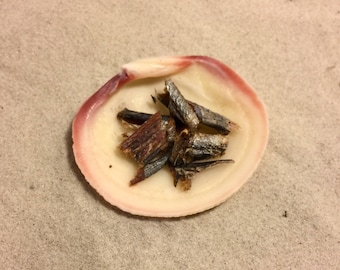 Wild Herring ~ Hermit Crab Food