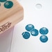 Blueberry Hand Carved Stamp