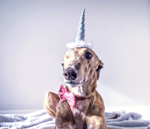 Unicorn Headband || Unicorn Costume || Dog Unicorn || Unicorn Dog || Pet Dress Up