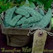 PDF E Pattern INSTANT DOWNLOAD Primitive Veggies Fresh Picked Peas
