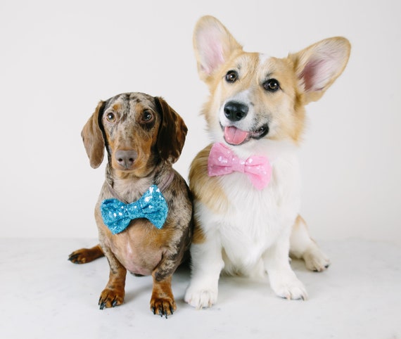 Neck Bowtie for Dog|| Dog Bow Headband || Dog Neck Tie || Pet Bow Tie || Dog Clothes