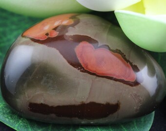 Polychrome Jasper Polished Palm Stone Mineral Specimen POLJ3