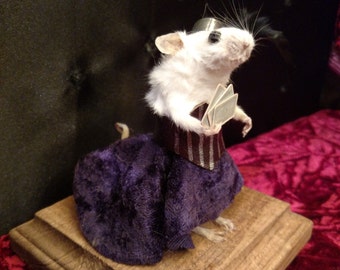 Poker face fancy taxidermy Mouse