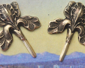 TWO Iris Brass Stampings, Brass Ox, Jewelry Supplies Made in the USA