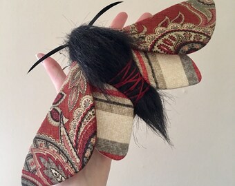 Red and Black Paisley Moth