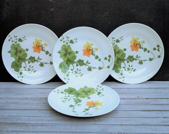 Richard Ginori Plates with Flowers