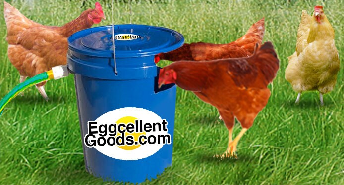 Fam Tuff Duable Plastic Hanging Automatic Poulty Watee