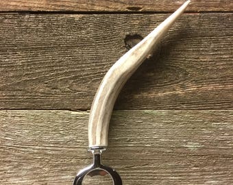 Antler tine bottle opener