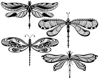 Dragonfly clip art | Etsy