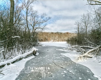 River's Path - 12x18 Metal Print