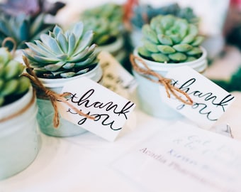 Succulent Favors and Corporate Gifts