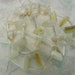 Golden Lip Shell (natural)