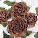 100 Rose Pine Cones or Cedar Rose , From The Deodar Cedar Tree ( Cedrus Deodar )