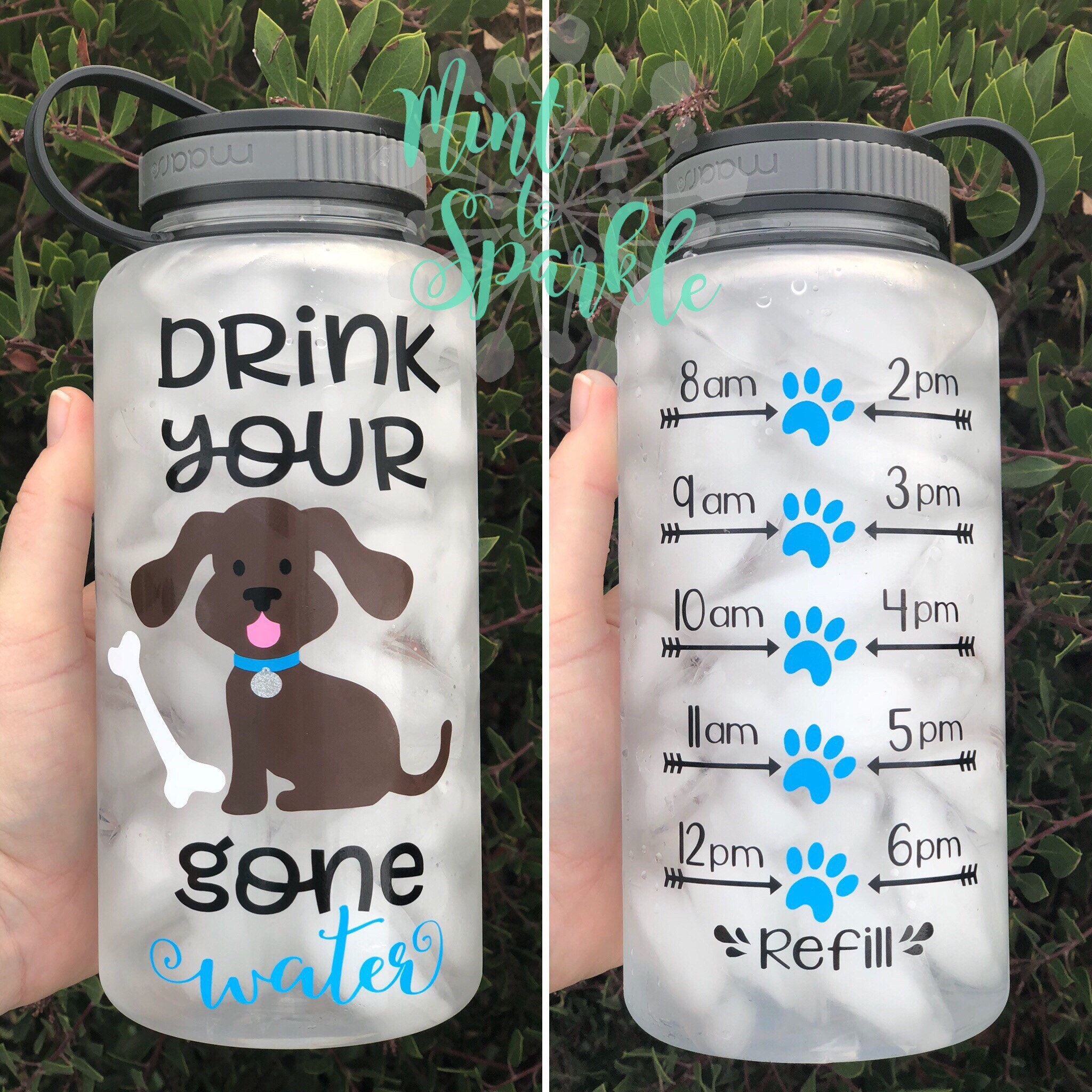 Drink your DOG gone water motivational water bottle with