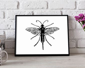 Wasp Insect poster, Wasp Insect wall art, Wasp Insect wall decor, Wasp Insect print, Gift poster