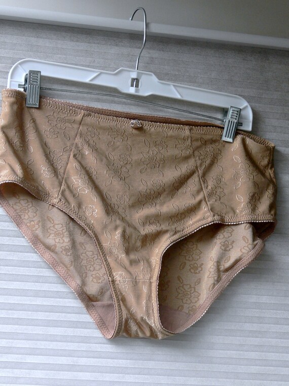 control top sheer panties size 1x8 plus size