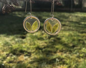 Pair of green leaves earrings