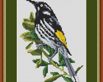 The New Holland Honey Eater