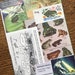 Croak Goes the Frog Vintage Pond Collage, Scrapbook and Planner Kit Number 2571