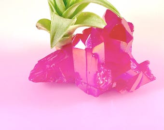 Bright Fuchsia Aura Quartz Crystal Air Plant Garden, Pink Crystal, Best Friend Gift, Air Plant, Aura Crystal