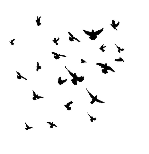 12/12 Birds in flight stencil.