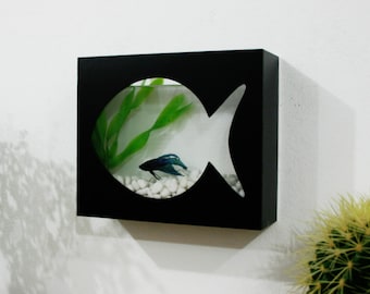 Modern Betta Fish Tank Aquarium - Desktop aquarium or Wall Mounted Fish Aquarium