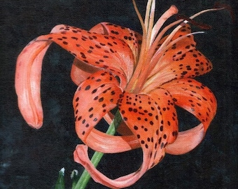 A Blooming Tiger Lilly, Original Acrylic Painting By Huiyi Tan