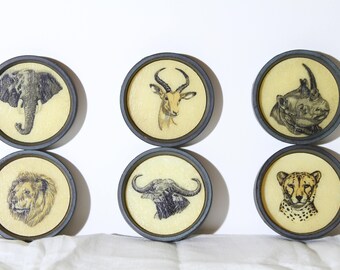 Vintage Safari Coasters Set 1960s