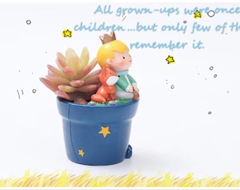 The Little Prince Series E - The Little Prince and Fox resin pot