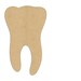 Tooth Cutout Shape Laser Cut Unfinished Wood Shapes, Craft Shapes, Gift Tags, Ornaments #565 All Sizes