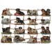 Germany Lithographed Die Cut Paper Dog Scraps 7327