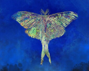 Impresión de luna Moth
