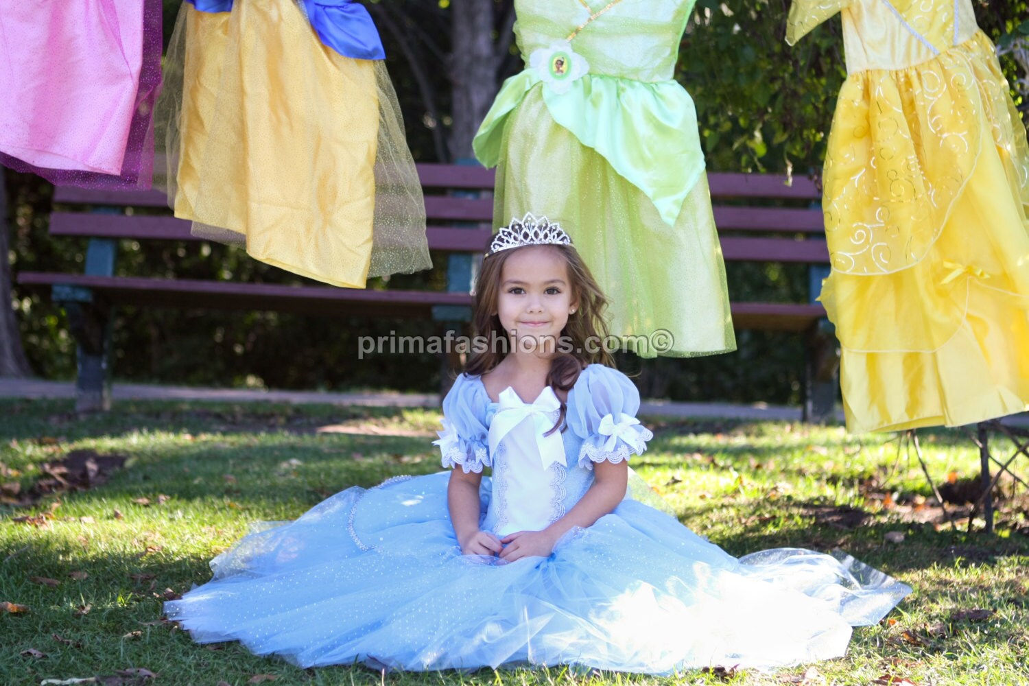 Cinderella costume FULL LENGTH princess custom costume 5