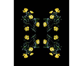 Limited Edition Fine Art Print-Flowers-Floral-Florography-Modern Art-Pink-Black-Flower-Abstract-Nature-Minimalist-Minimal-Interior Design