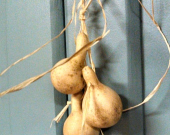Primitive or Fall Accent Gourd Garland