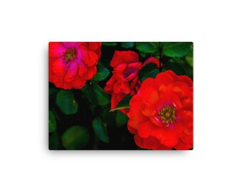 Vibrant Red Flowers | Canvas