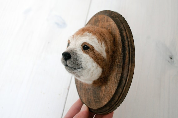 Faux Taxidermy Sloth (Bradypus variegatus)