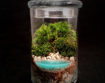 Terrarium // Beach Terrarium // Small Terrarium // Realistic Water Terrarium // Moss Terrarium // Terrarium Gift