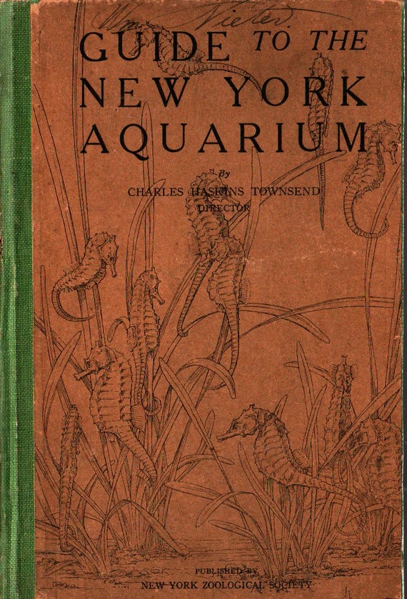 Guide to the New York Aquarium + Charles Haskins Townsend + 1929 + Vintage Science Book