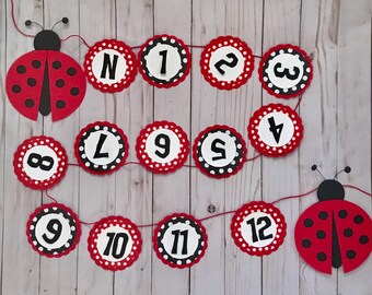 Ladybug banner