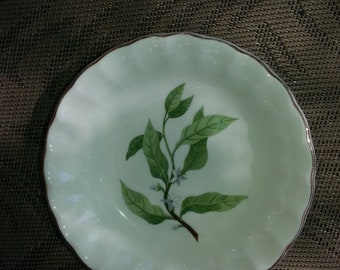 WS George Pottery Bolero Dessert Bowl
