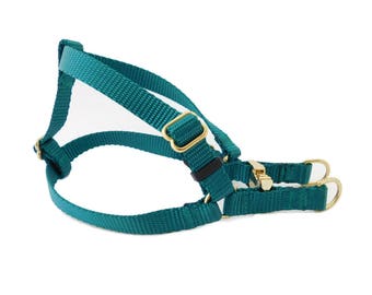 Dog Harness in Teal and Gold, Nylon Webbing Step in Dog Harness, Pet Harness, Metal Buckle and Hardware