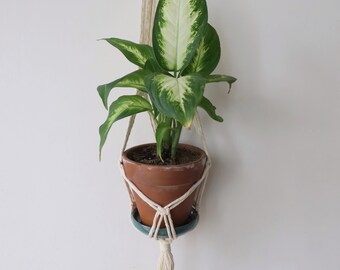 Macrame plant hanger, wall hanger