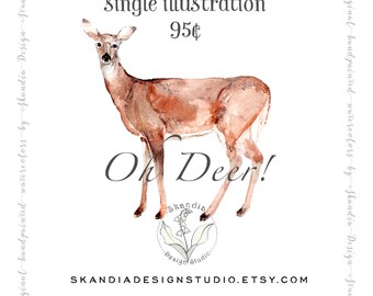 Deer clipart, Handpainted clipart, watercolor clipart, woodland clipart, wildlife clipart, clipart deer, deer png, watercolor deer print